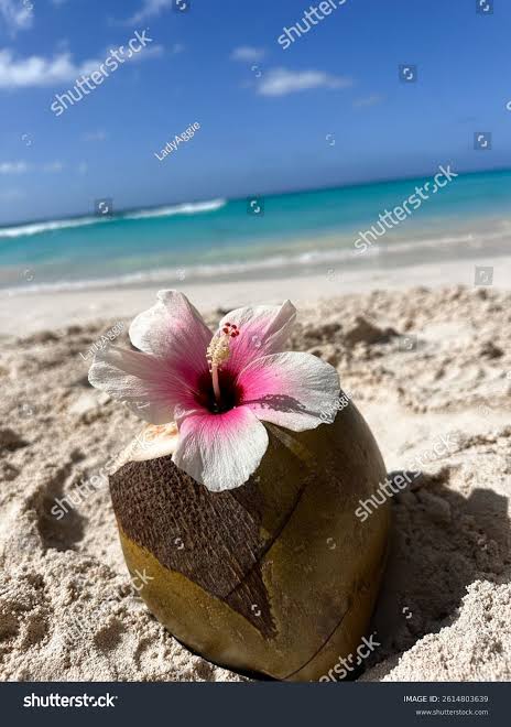 Tropical Bloom Handmade Lotion